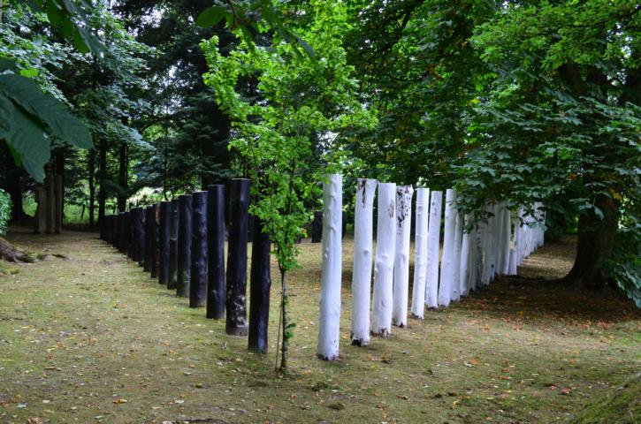 Schwimmteich